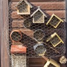 Vogelschutz für Wildbienen Nisthilfen
Hochgeladen am 12.03.2020 von Petra